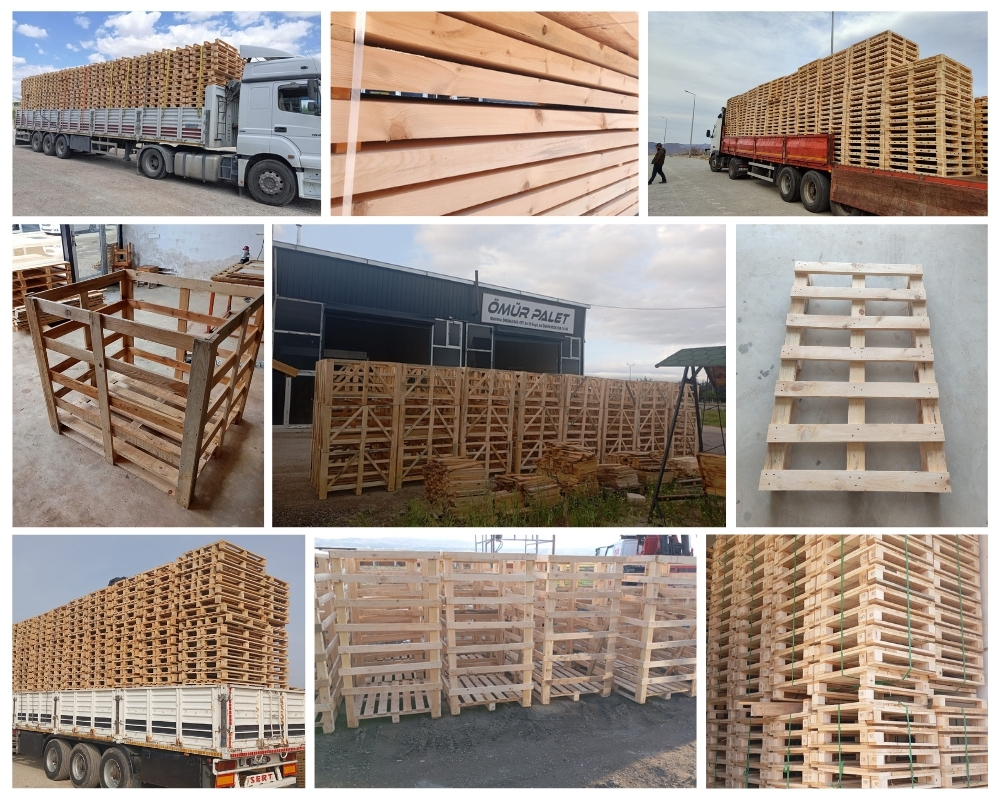 Shedfield Wooden Pallets, Buy Wooden Pallets Wholesale